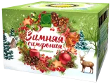 Зимняя симфония