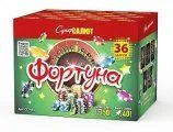 Фортуна (1x36)