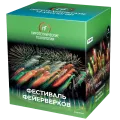 Фестиваль фейерверков-25 1