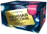 Важная персона