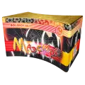 Маэстро