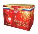Новогодние чудеса